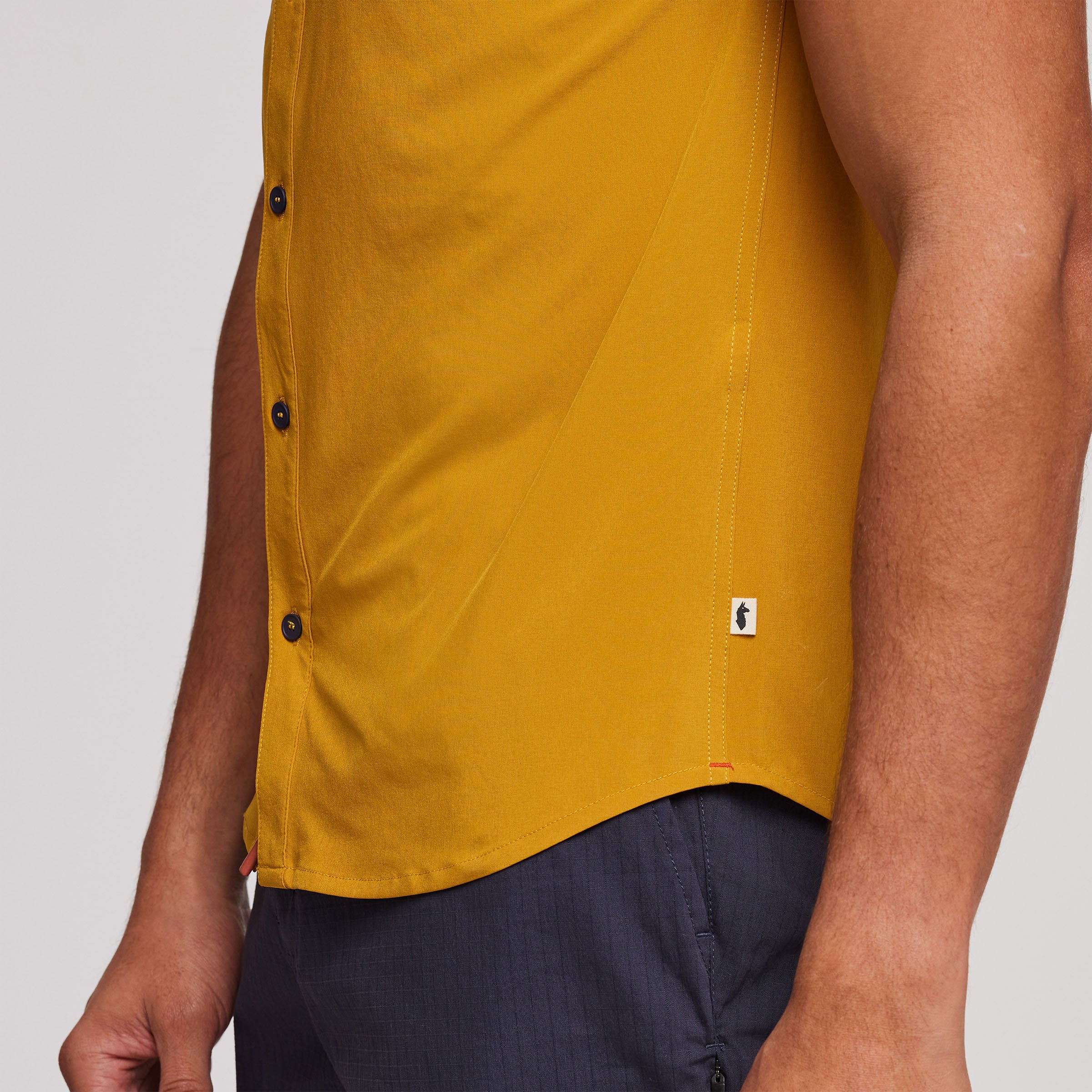 Cambio Button Up - Image 5