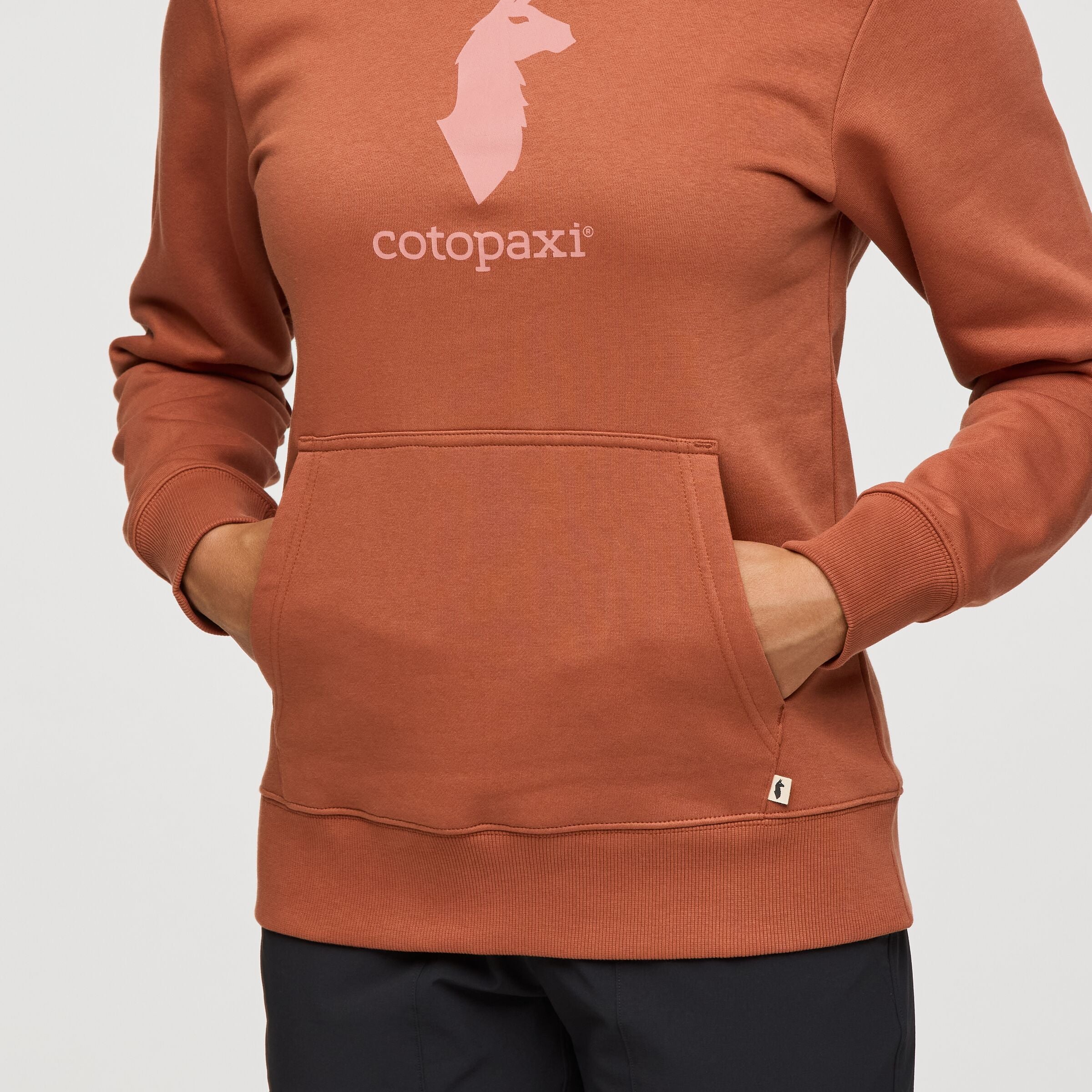 Pullover Llama Pullover Hoodie - Image 4