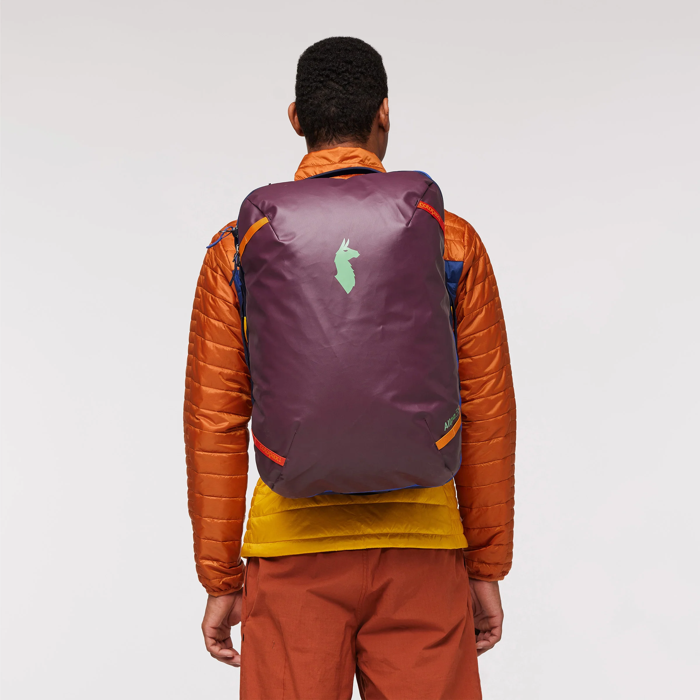 Rucksack Allpa 35L Travel Pack - Image 11