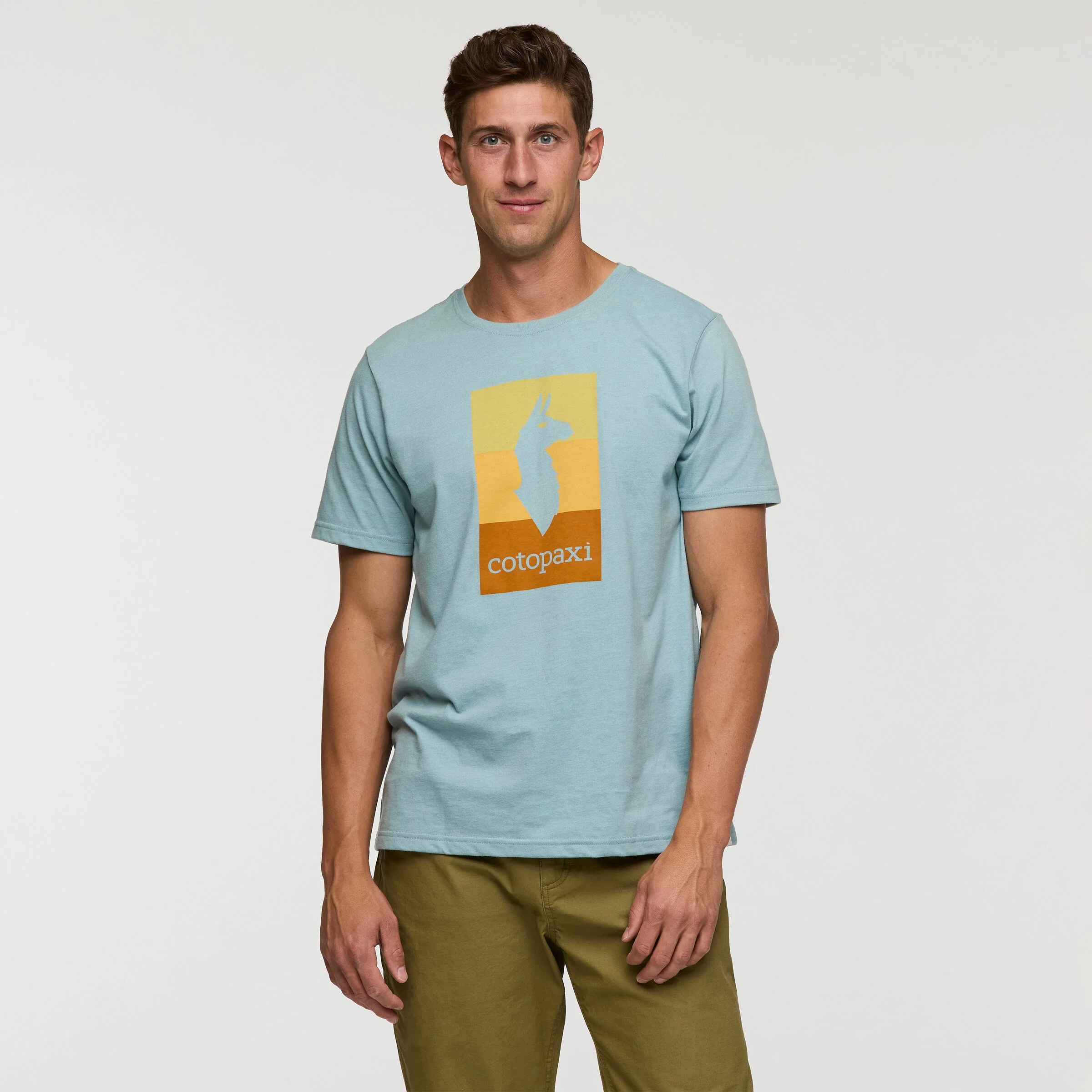 Llama Block - Image 11