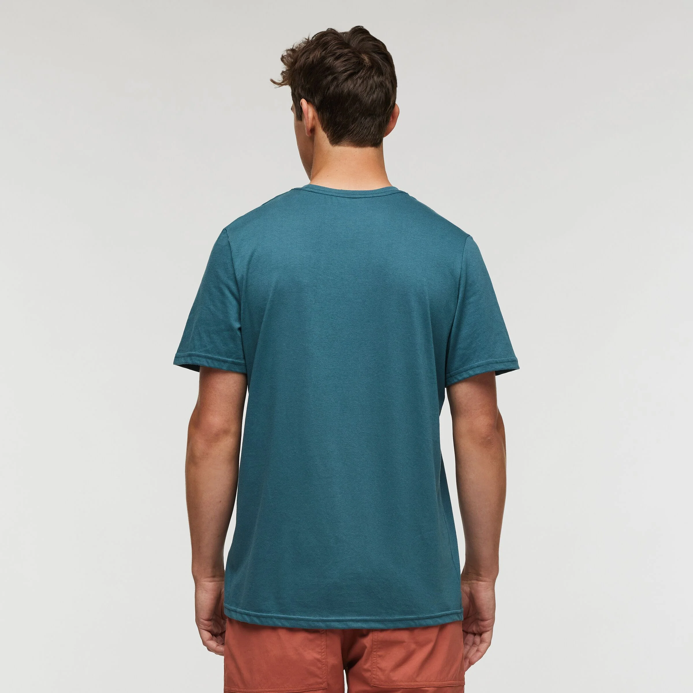 T-Shirt Llama Greetings Organic - Image 2