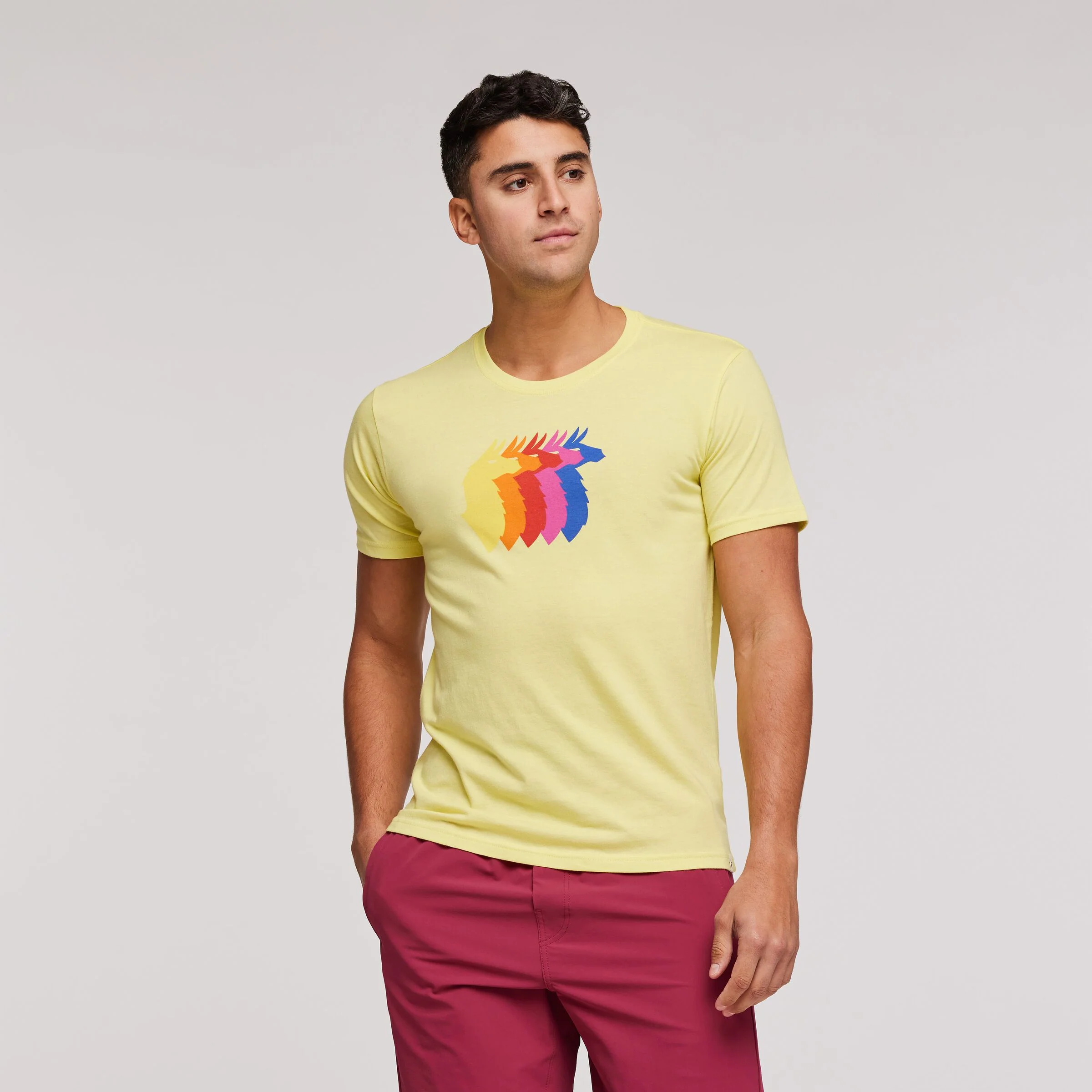 T-Shirt Llama Sequence