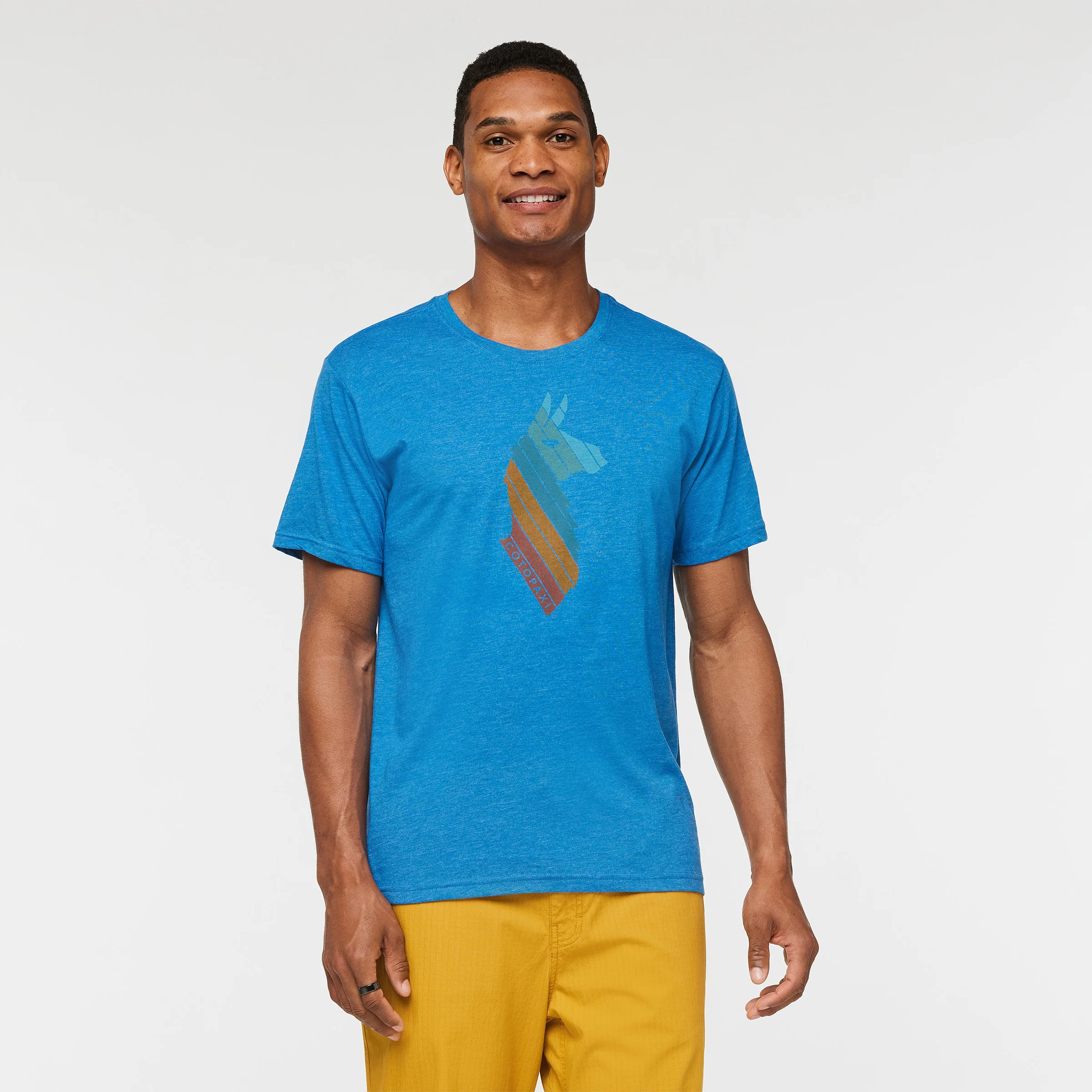 T-Shirt Llama Stripes